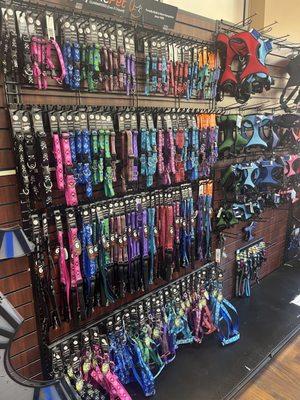 Pet collars