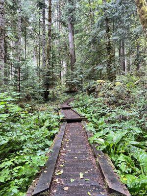 Heart o the Hills - campground trail