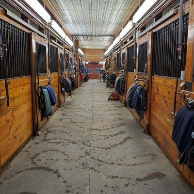 Our cozy stables