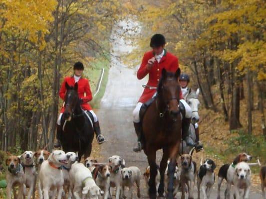 The Chagrin Valley Hunt one fall day.