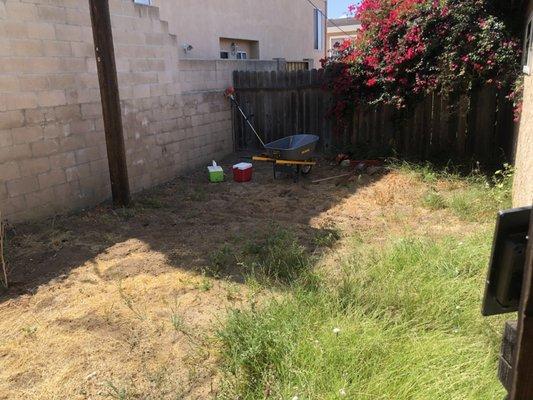 Before turf and paver patio install