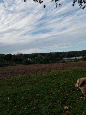 Scenic view of the pond