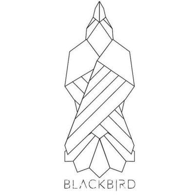 Blackbird Boutique has arrived!