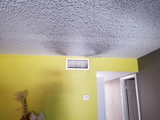 Fire, smoke and water damage