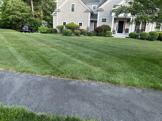 M&N Landscaping