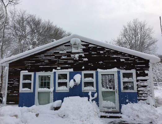 Winter 2016 scenes at Someday Farm.  Martial Arts studio after blizzard.