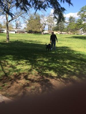 Hubby paying with Charlie at the park!