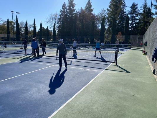 Walnut Park - 4 dedicated courts with lights