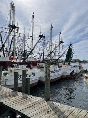 Shrimpers