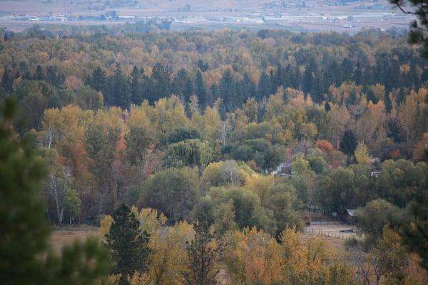 Fall in Missoula