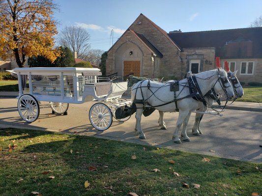 White Horse Drawn Hearse