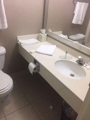 Large bathroom counter