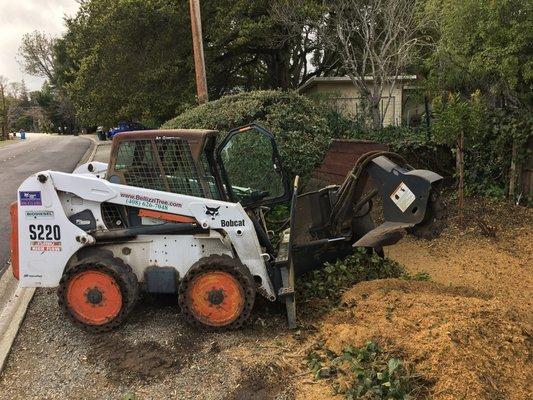 OurBobcat stump grinder