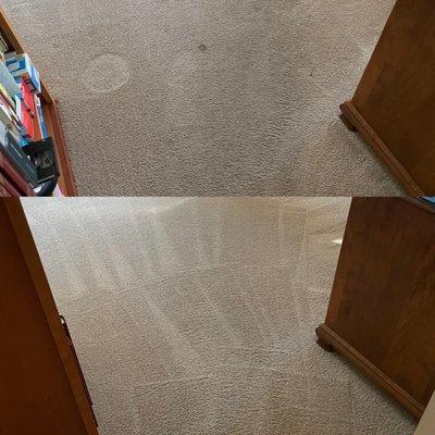 My Carpet Cleaning