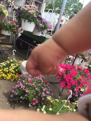 Flowers are a little distracting from my baby's cute hand.