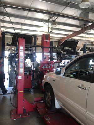 We are much more then a transmission shop. Alignments, tune ups,timing belts, brakes. And much more