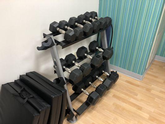 Free weights in fitness room