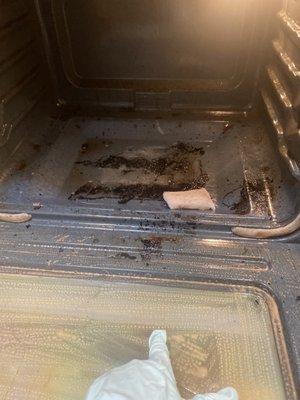 Oven cleaning