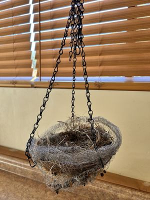 New nest my husband built.