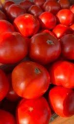 Field Grown Tomatoes from Southern Ohio