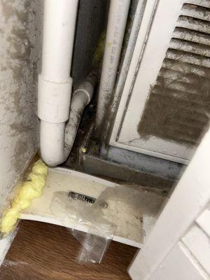 Mice trap in hvac system