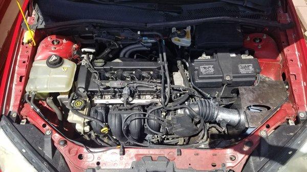 After Photo of Engine Bay