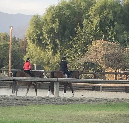 Friends riding in the main arena (we're all friends!)