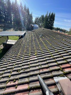 Dirty tile roof