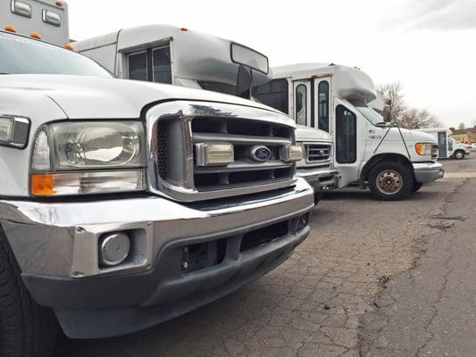 An entire line up of shuttle busses