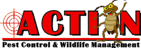 Action Pest Control & Wildlife Management