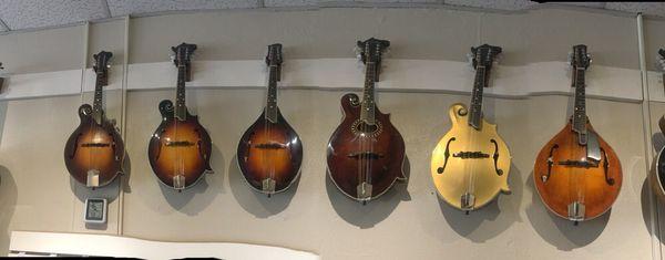 Some beautiful Eastman mandolins