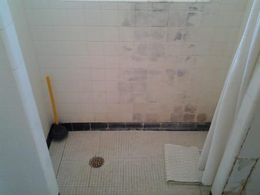 Hard to clean, mold and mildew tile shower w/ broken tile.