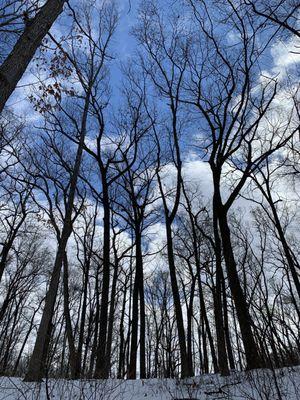 Seven Lakes State Park