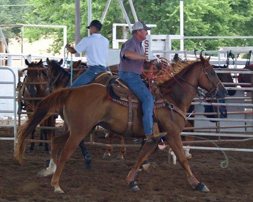 Roping