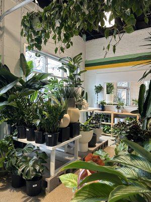 Plant Shop