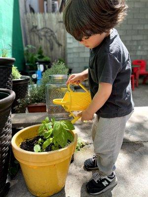 Gardening in our private yard