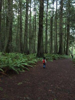 Anderson Lake State Park