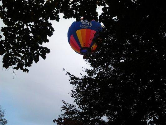 Relaxing Flight