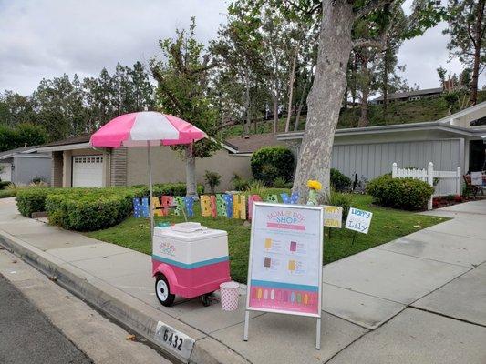 Cart rental perfect for social distance drive by parties!