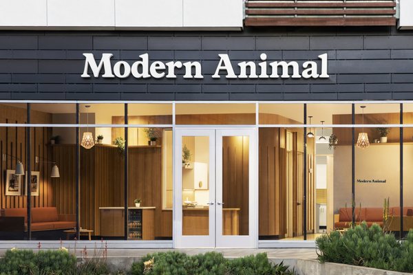 Modern Animal