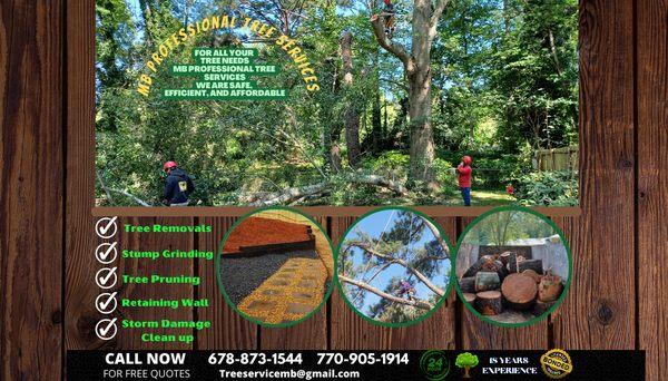 MB Professional Tree Service