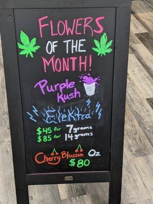 Our January Flower of the month! Come check us out before the offer expires.