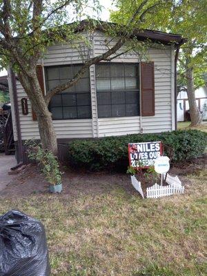 Tree trimming and shrub trimming. Cleaned up yard and landscaping