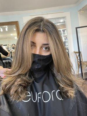 Balayage and Women's Women's Haircut