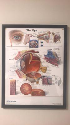 Tennessee Retina