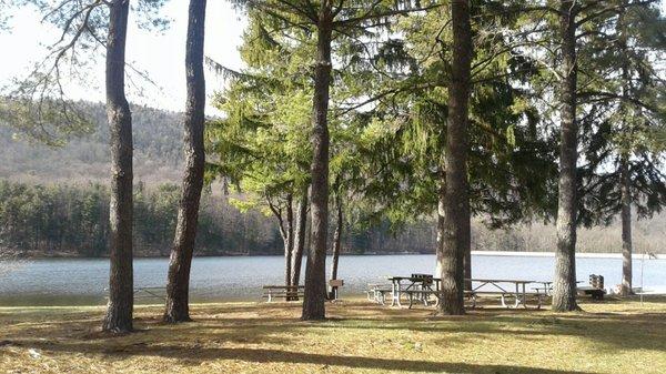 Picnic area at Cowans Gap State Park.