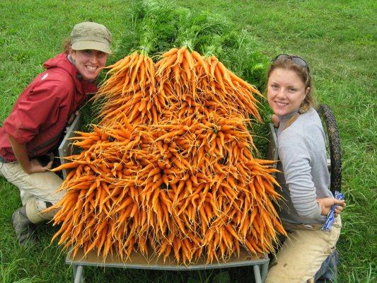 Sisters Hill Farm