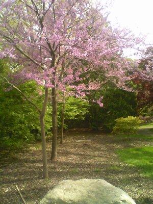 Park in early May.