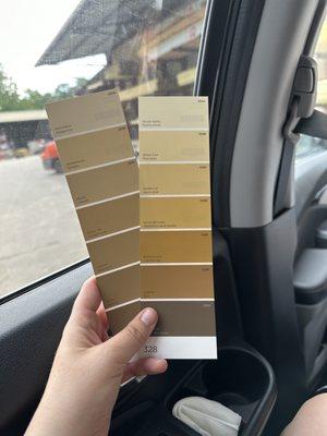 Paint Samples