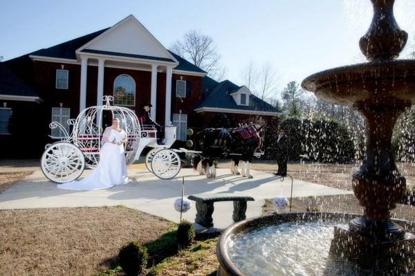 Beautiful Bridal Portraits in the front of the venue, with horse a carriage.